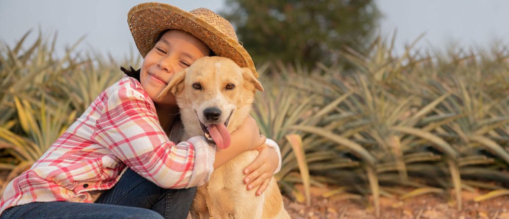 Pup & Polish - Pet Gromming in Cedar Park and Liberty Hill, TX